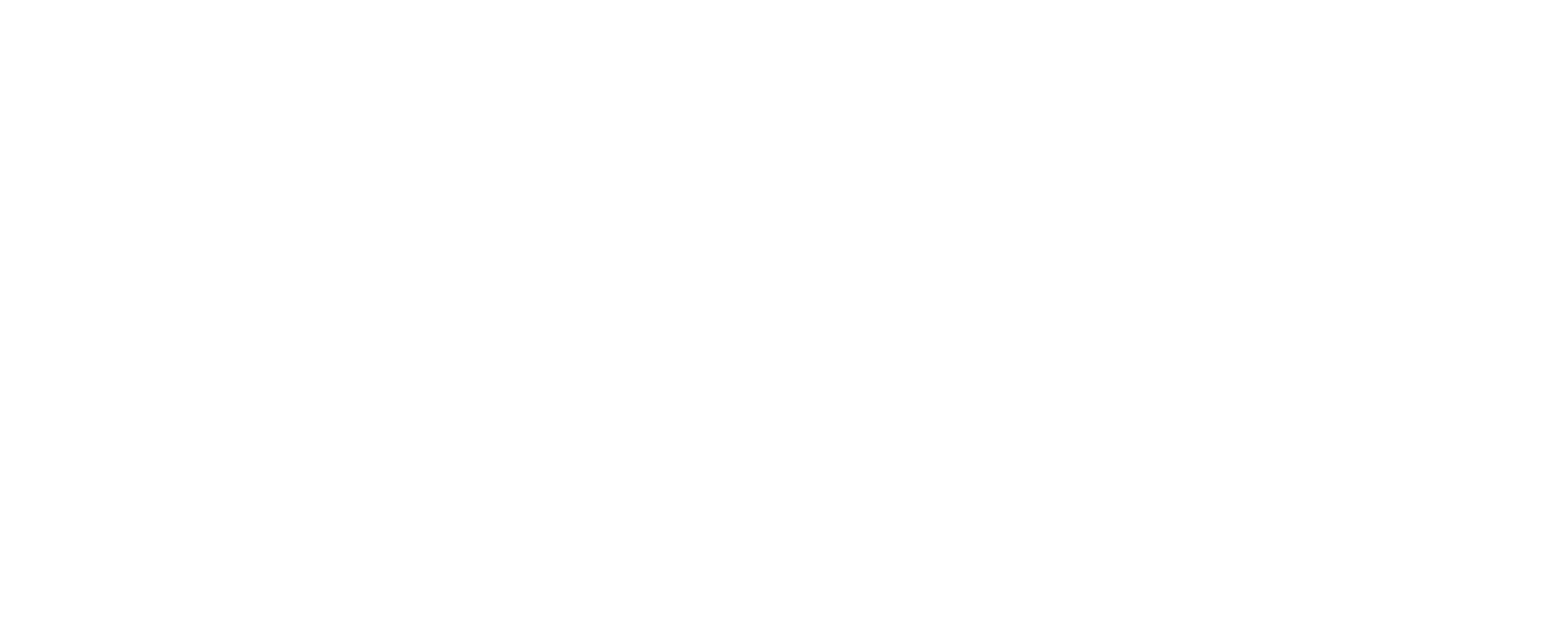DKI Foundation logo